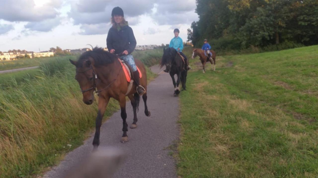B&B Boerderij Rust, In Pipowagens! Den Helder Bagian luar foto