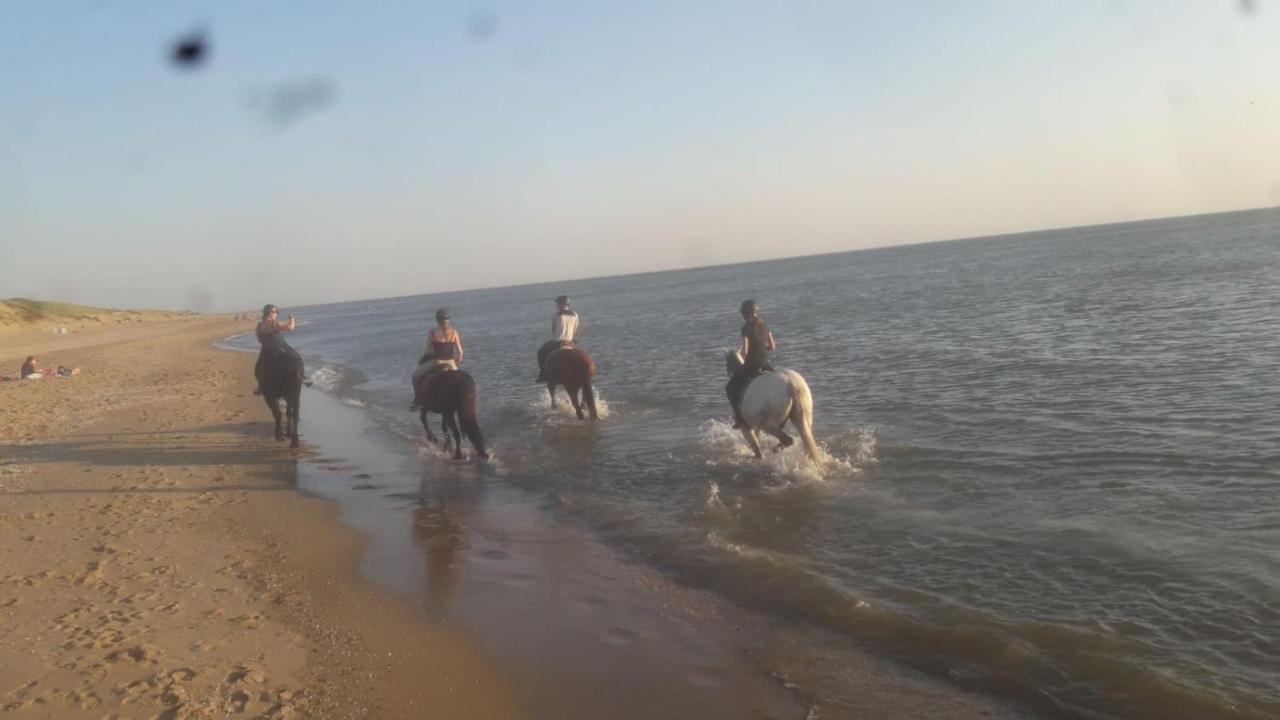 B&B Boerderij Rust, In Pipowagens! Den Helder Bagian luar foto